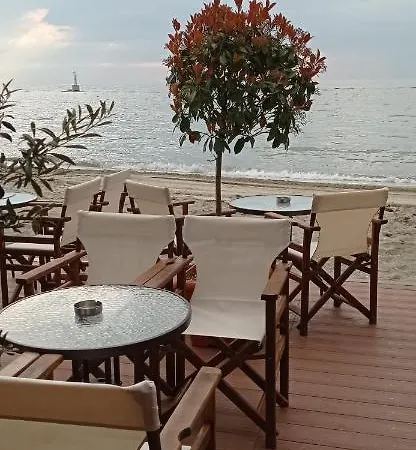 公寓 Themis Paralía